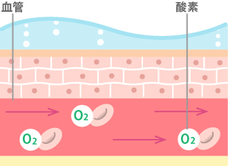 酸素を早く細胞に届けようとするため、血流量が増して、血行が改善。血液が増えたぶん、新鮮な酸素や栄養が細胞に供給される。